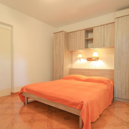 Apartament Viviana Damir A2 Novigrad  Zewnętrze zdjęcie
